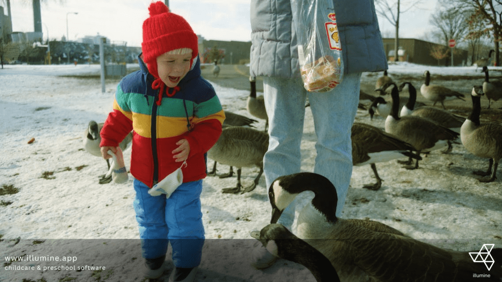 childcare-costs-by-state-illumine-alaskan-boy-looking-at-ducks-on-street
